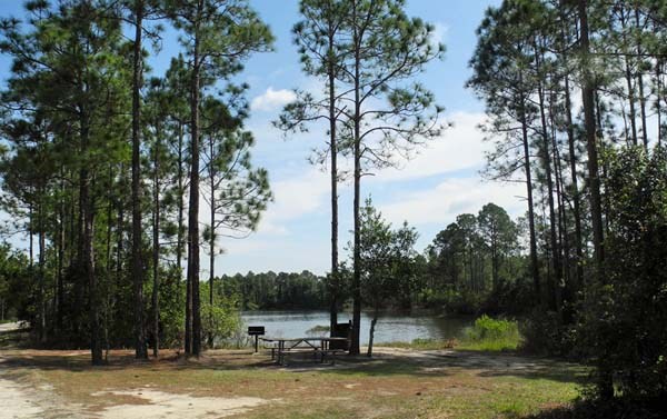 Tiger Bay pond